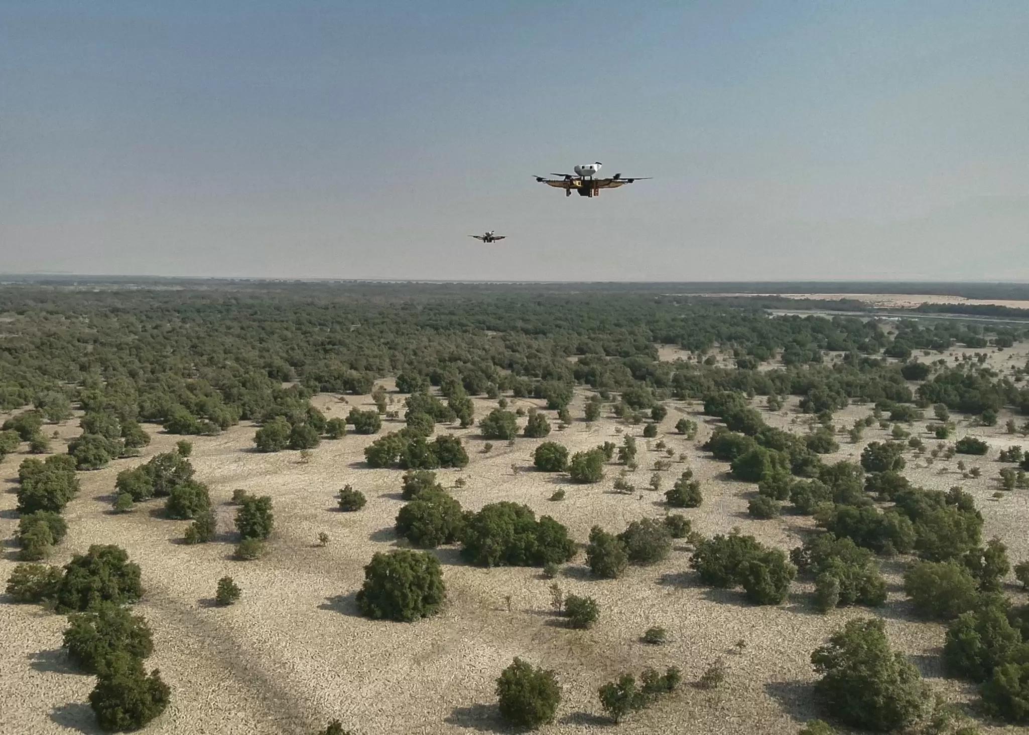 Drone to drone photo of mangrove restoration.jpg