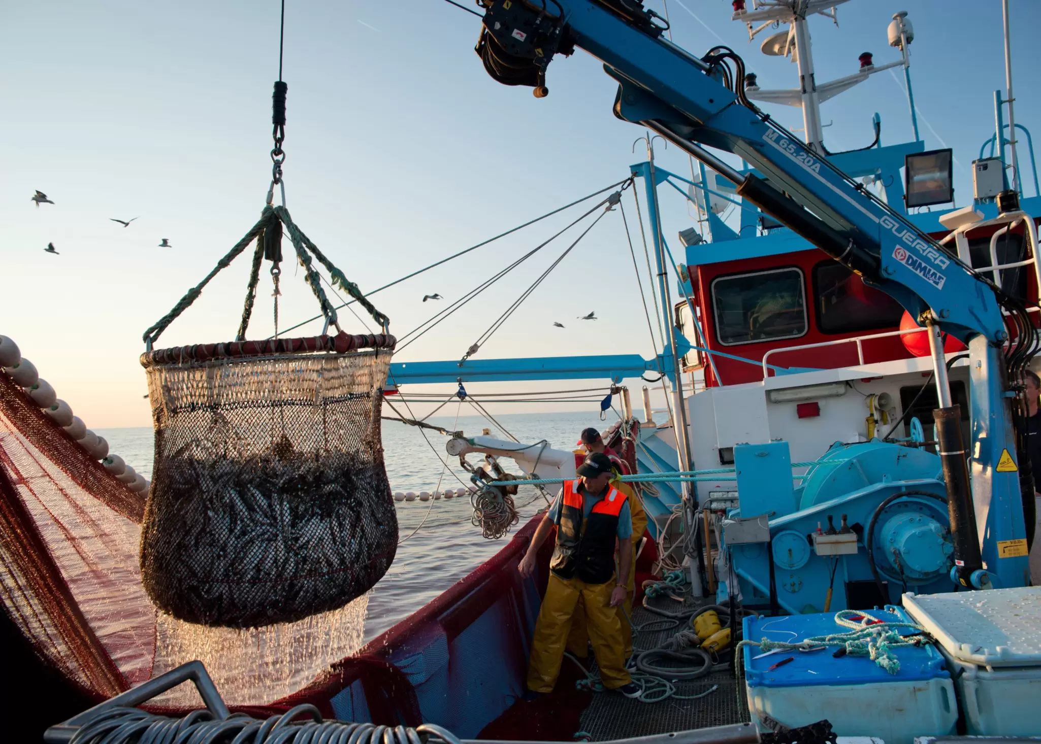 OceanImageBank_NicolasJob_5.jpg
