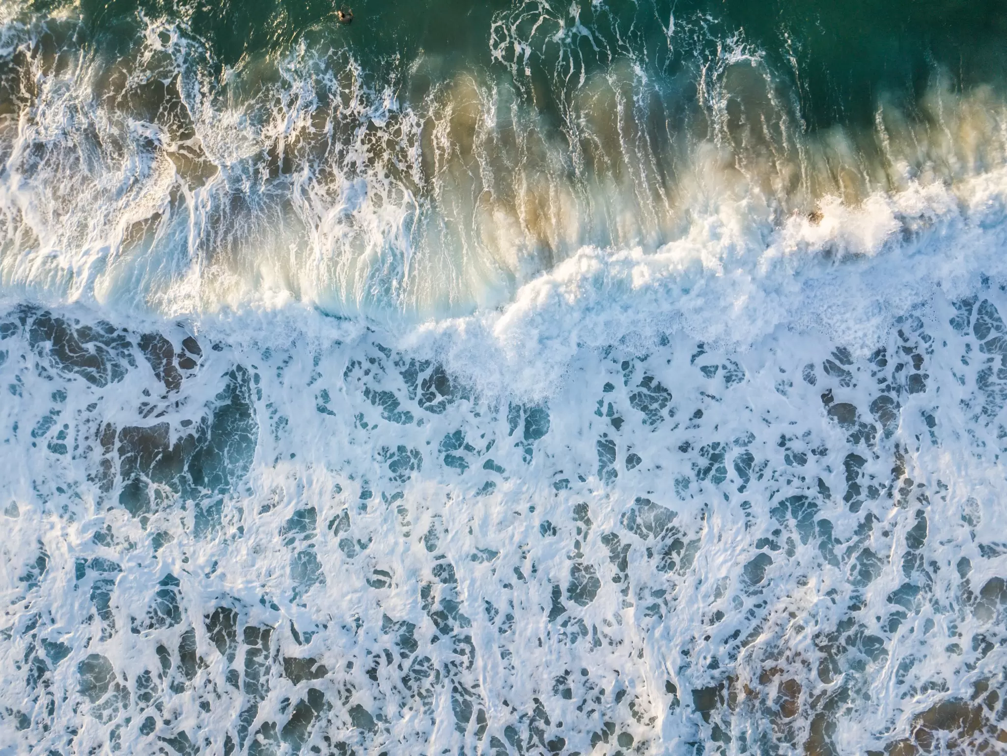 OceanImageBank_KimberlyJeffries_16.jpg