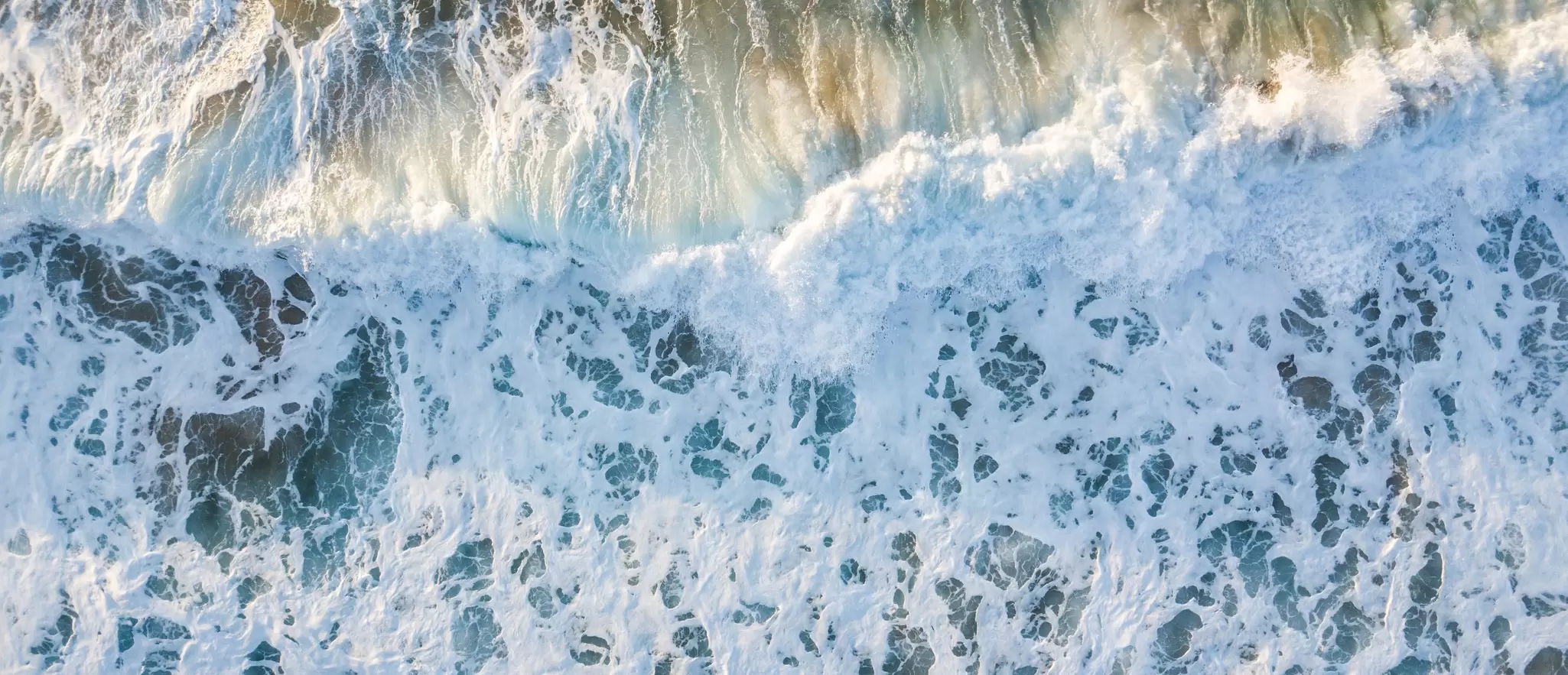 OceanImageBank_KimberlyJeffries_16.jpg