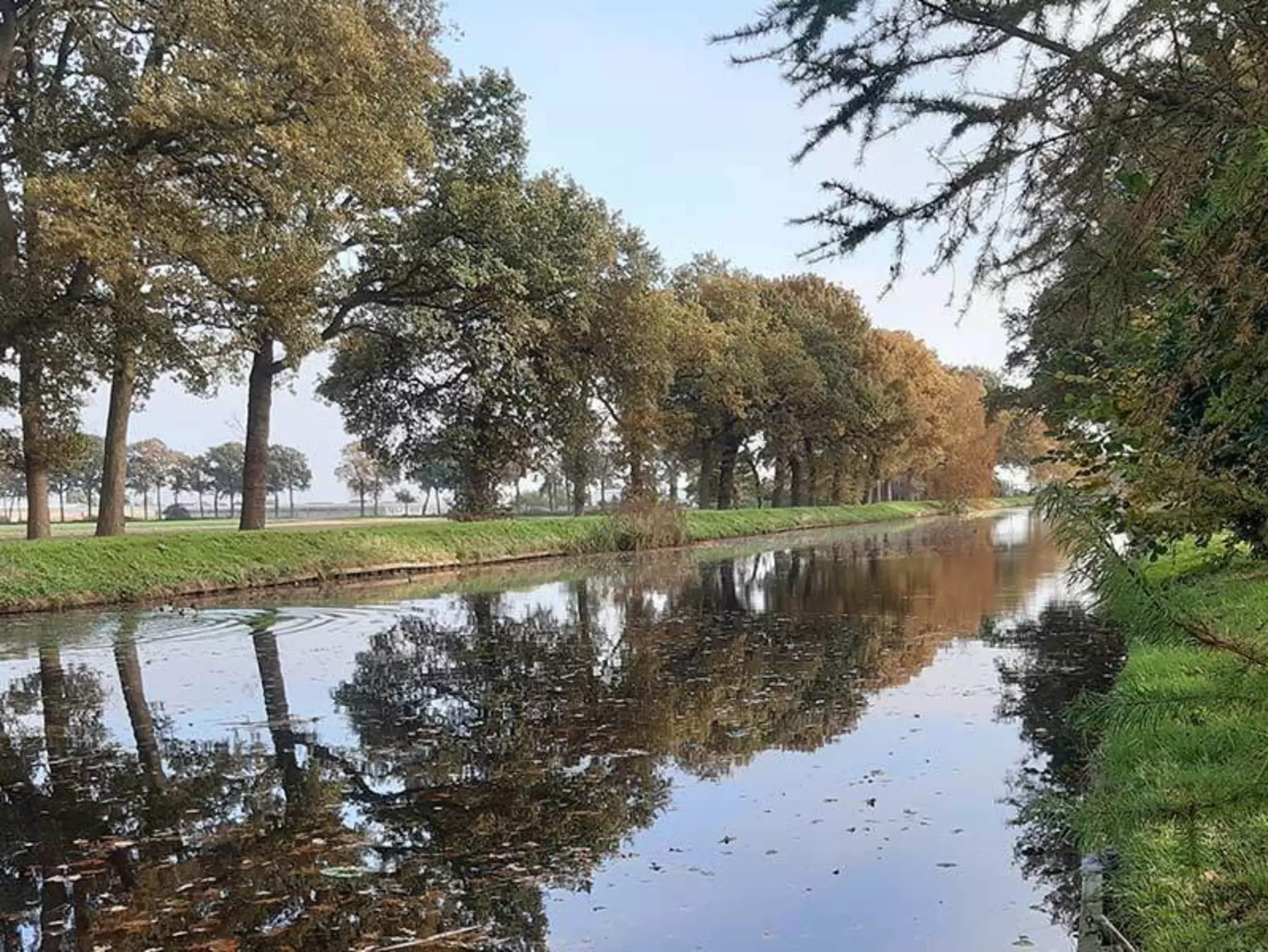 Countryside-around-Nieuw-Amsterdam.jpg