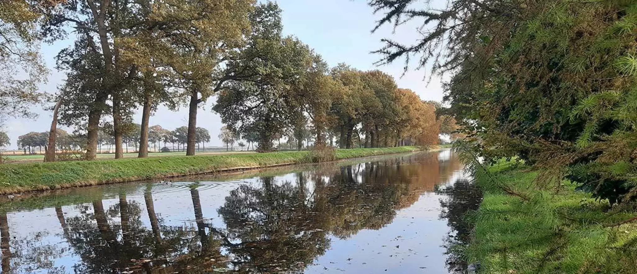 Countryside-around-Nieuw-Amsterdam.jpg