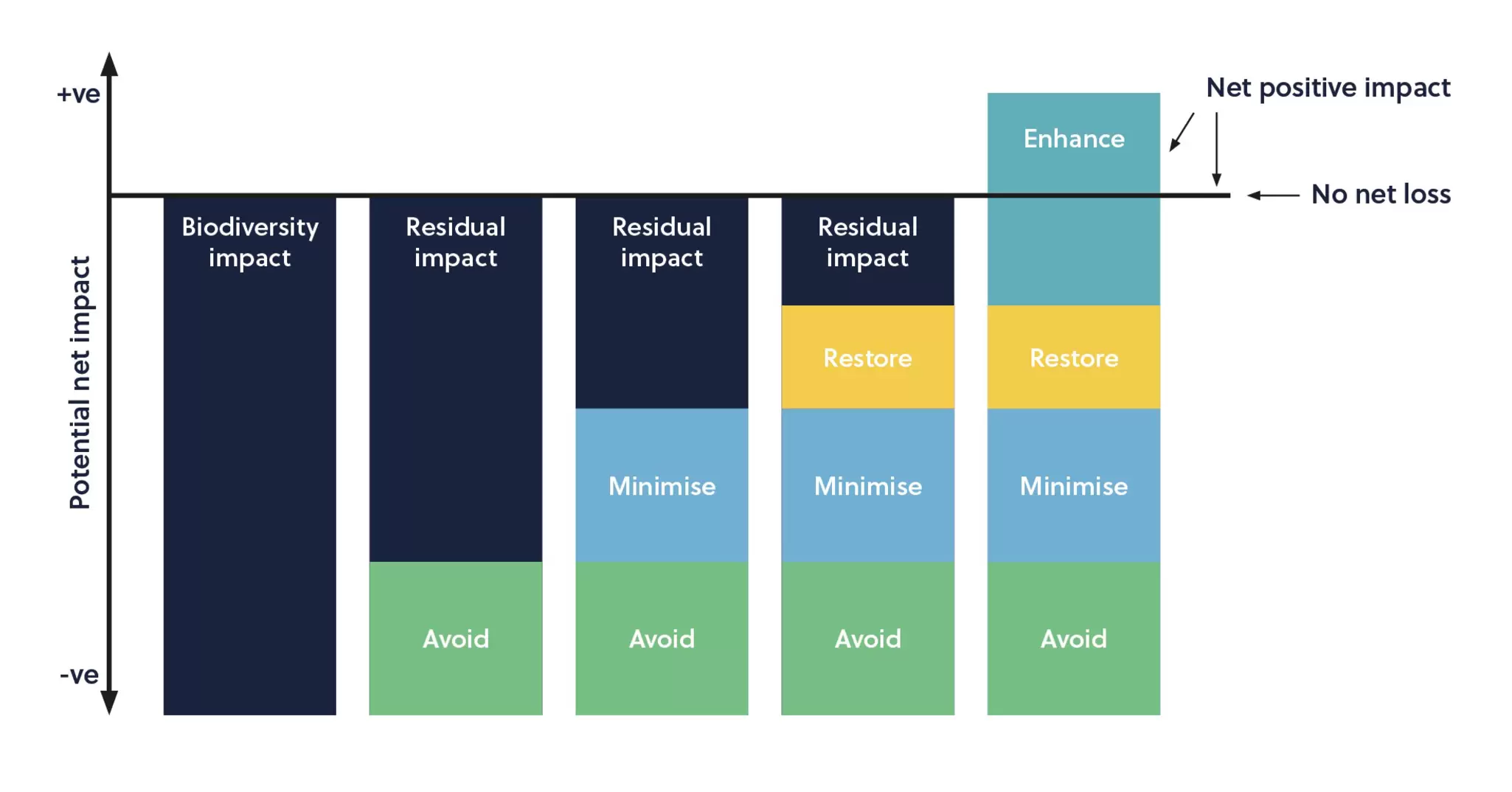 Biodiversity Mitigation Hierarchy.jpg