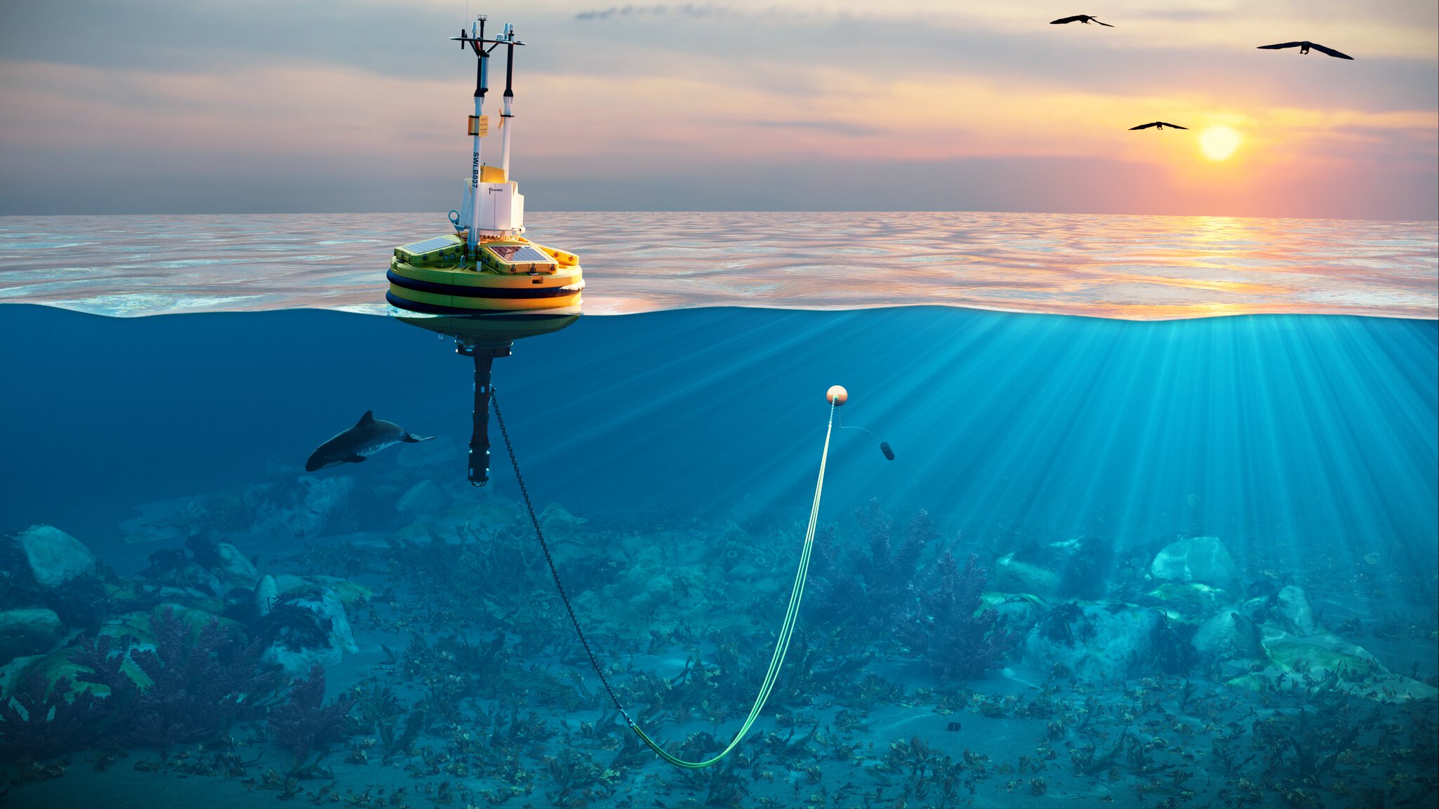 Environmental Acoustics Enhance Offshore Wind Projects | Fugro