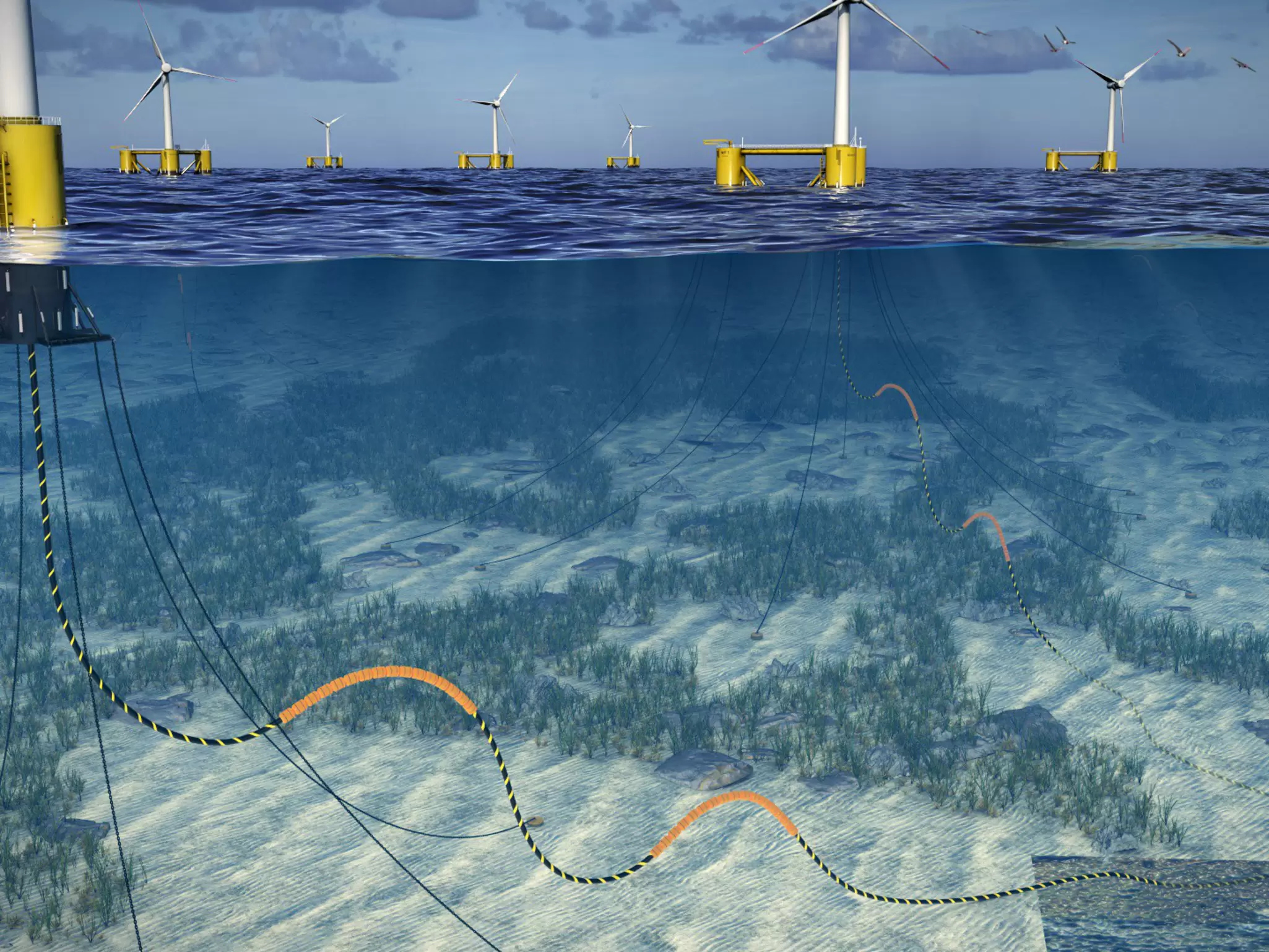 Floating wind farm graphic.jpg