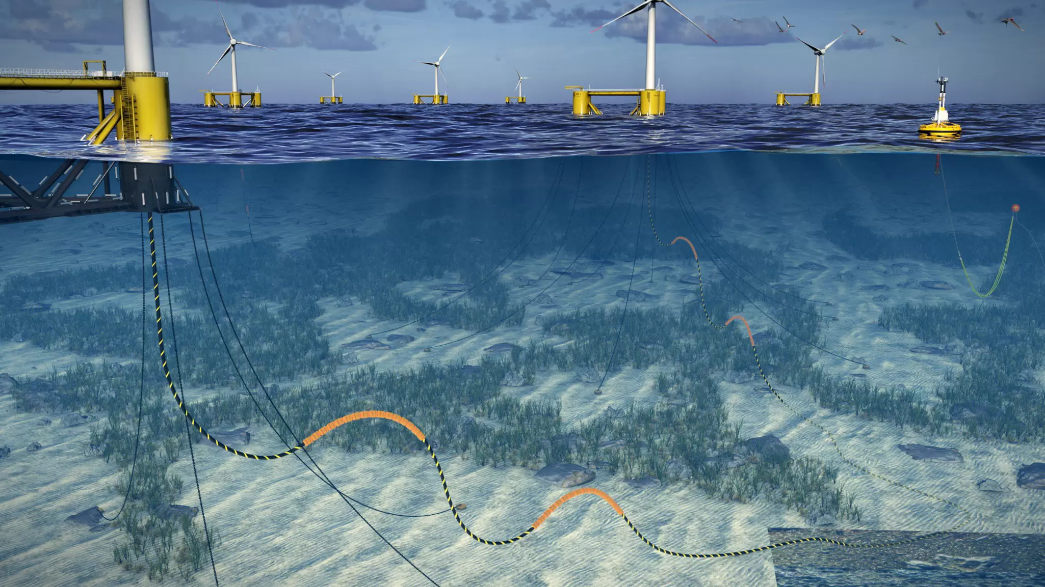 Floating wind farm graphic.jpg