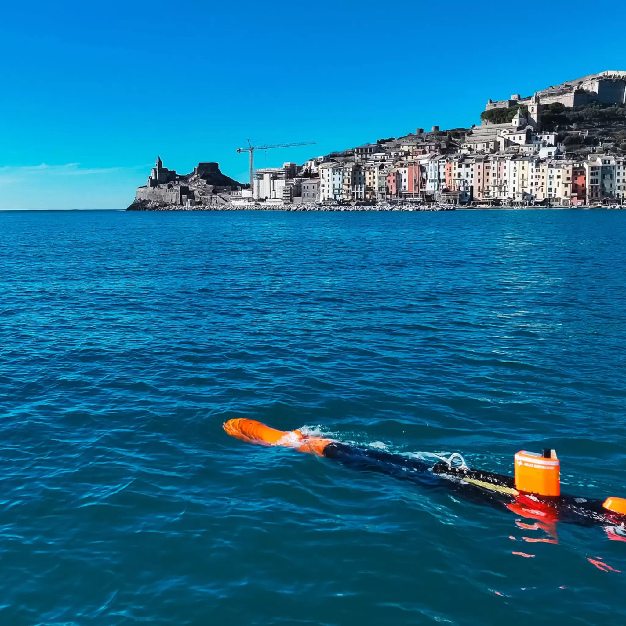Seagass mapping ISPRA Italy 04.jpg