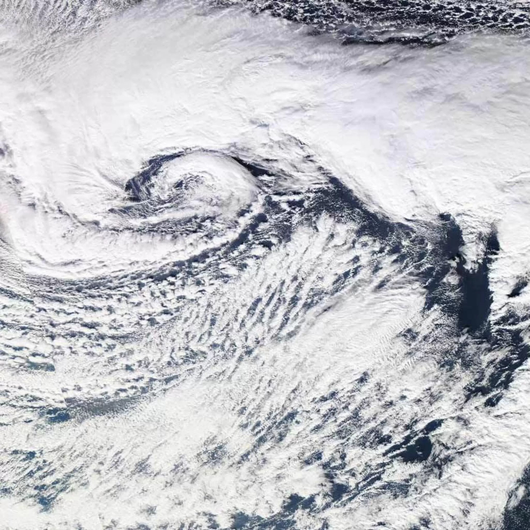ergon-cyclone.jpg