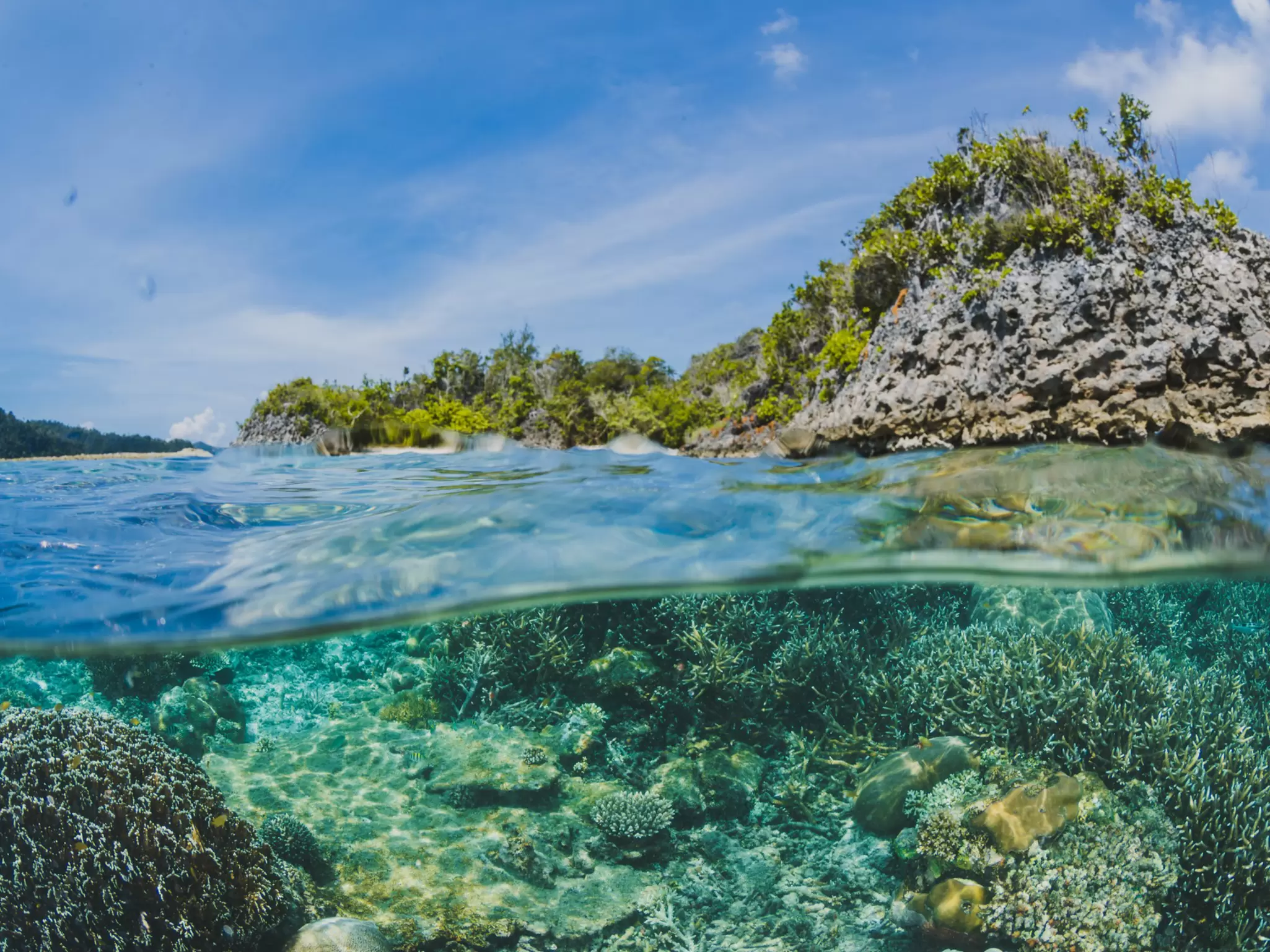 coral-reefs-surface-island.jpg