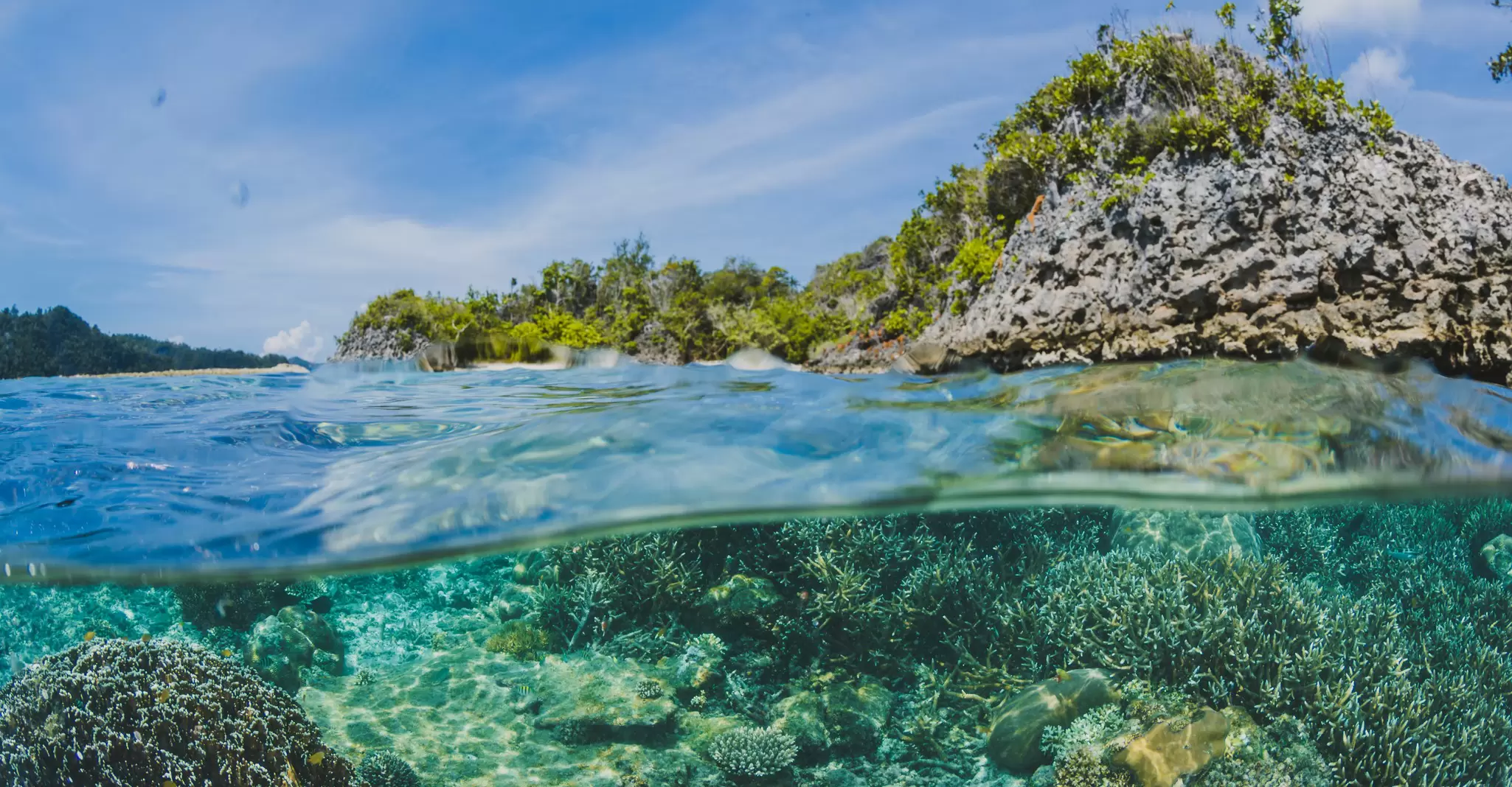 coral-reefs-surface-island.jpg