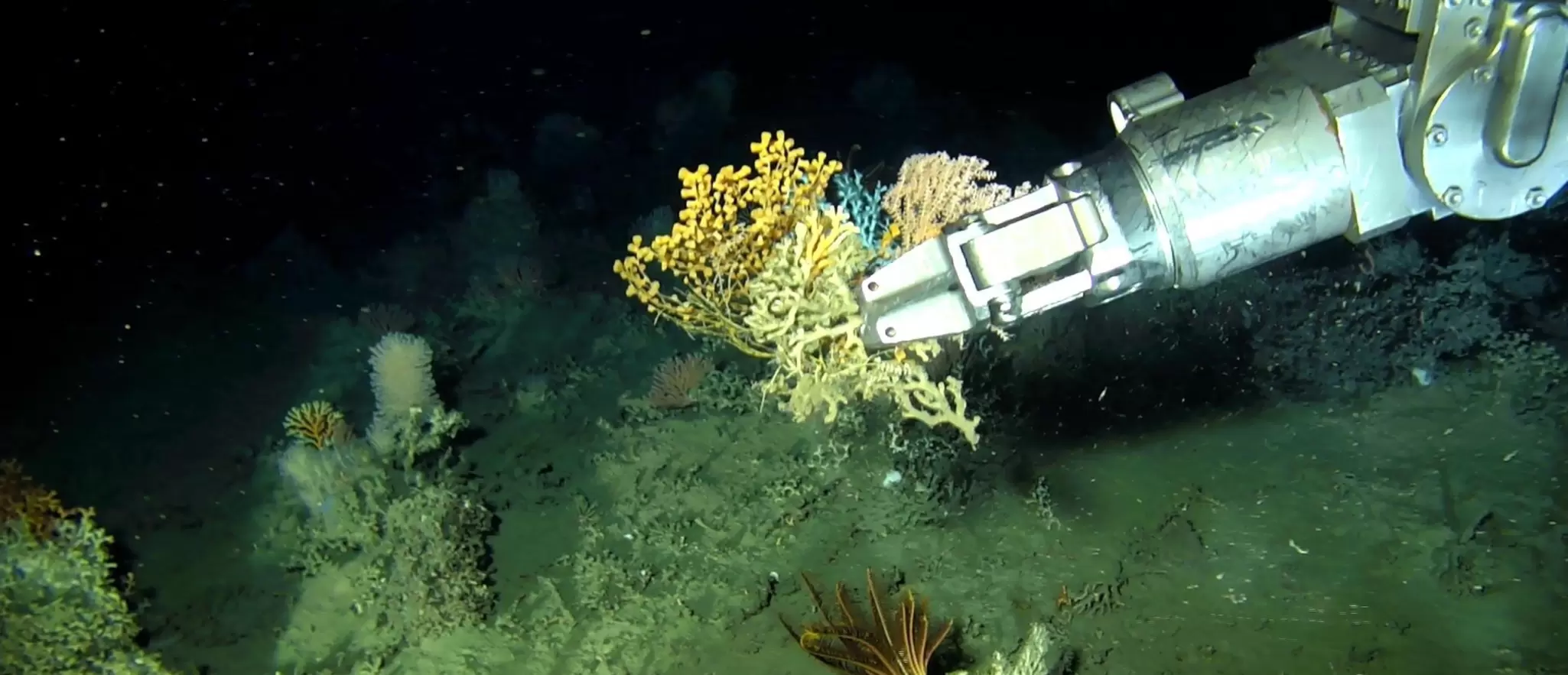 Fugro ROV manipulator.jpg