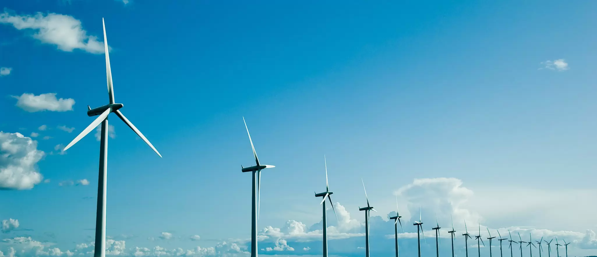 Offshore wind farm - Shutterstock.jpg