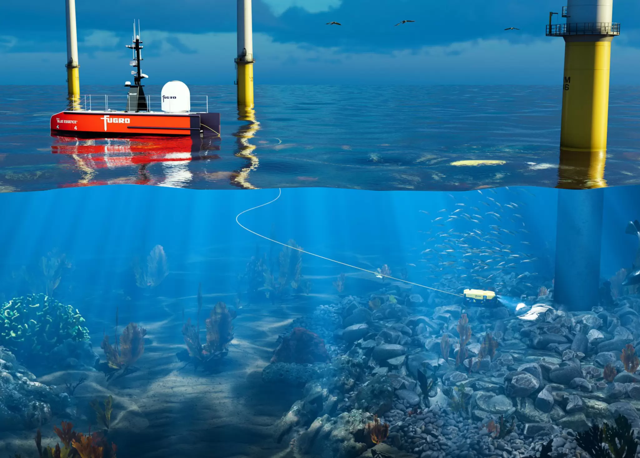 Fugro Rov Biodiversity image Version 2.jpg
