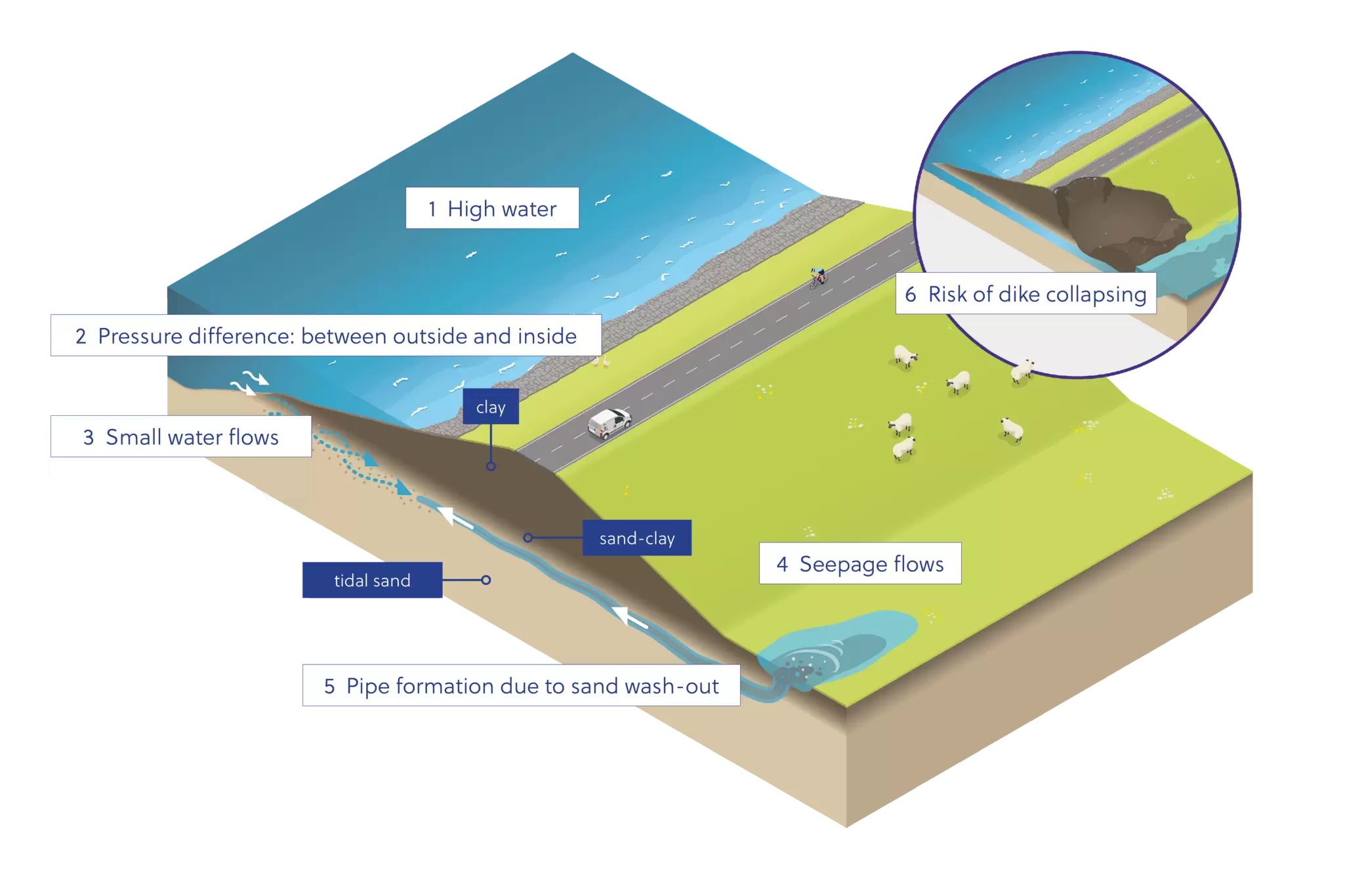 Wolferen-Sprok image 2 ENG - image credit water authority Hollandse Delta.png