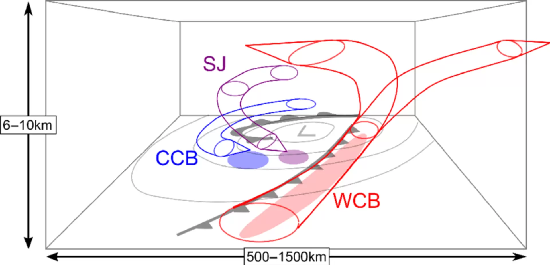 3D idealised image of a Shapiro-Keyser Cyclone.png