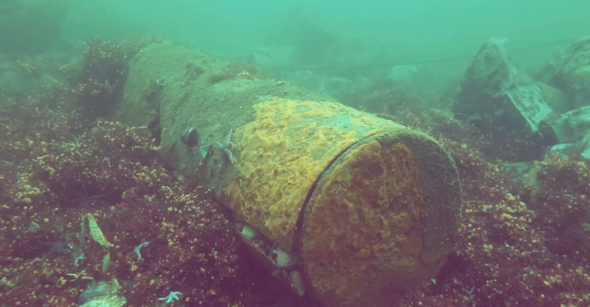 Mine with open shell and TNT in  the background.JPG