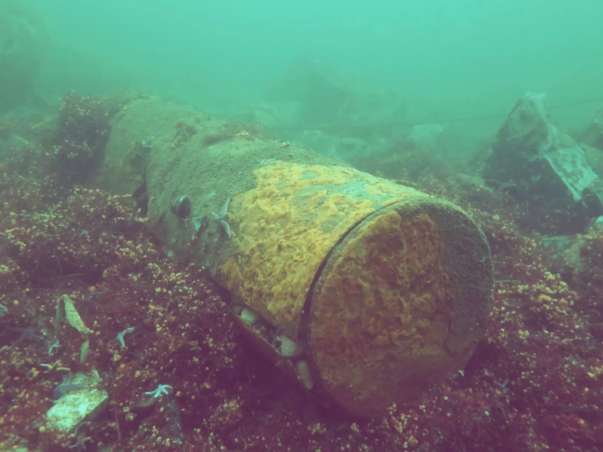 Mine with open shell and TNT in  the background.JPG