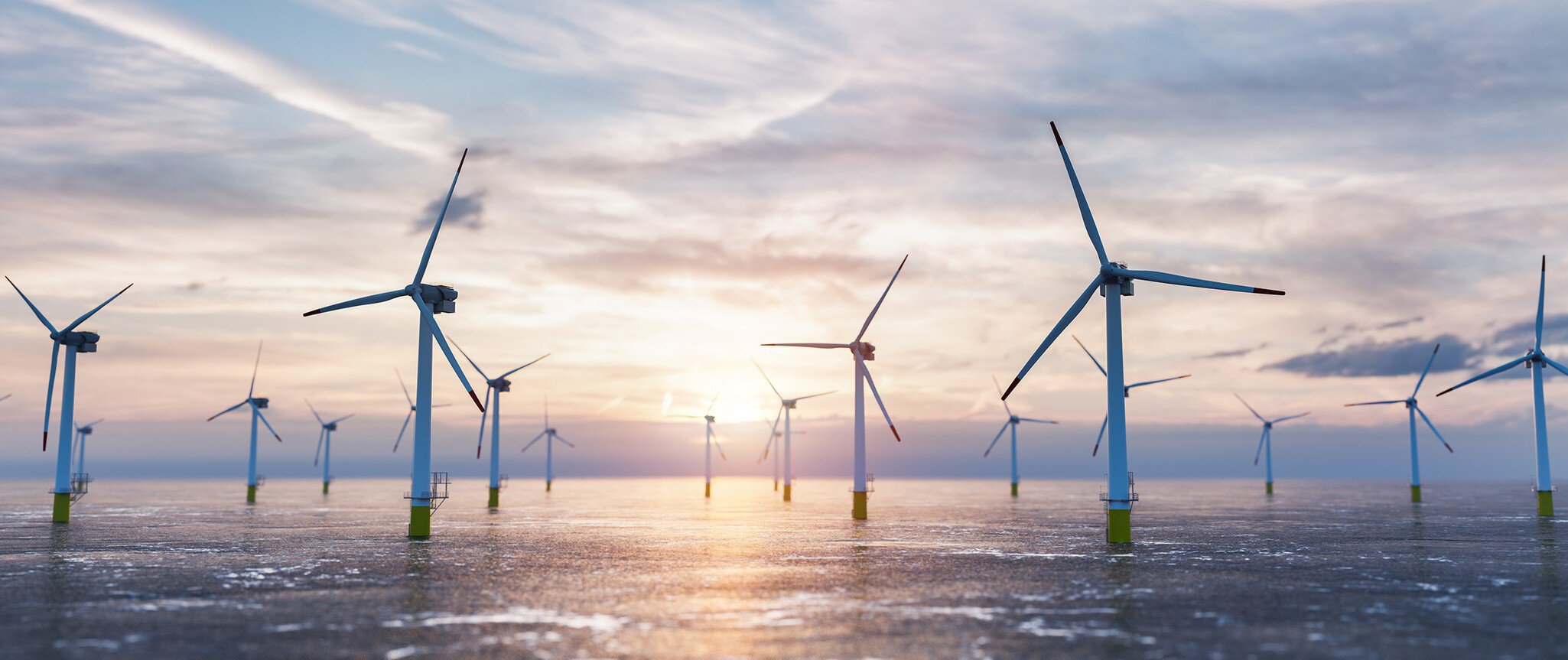 The offshore wind farm O&M procedures