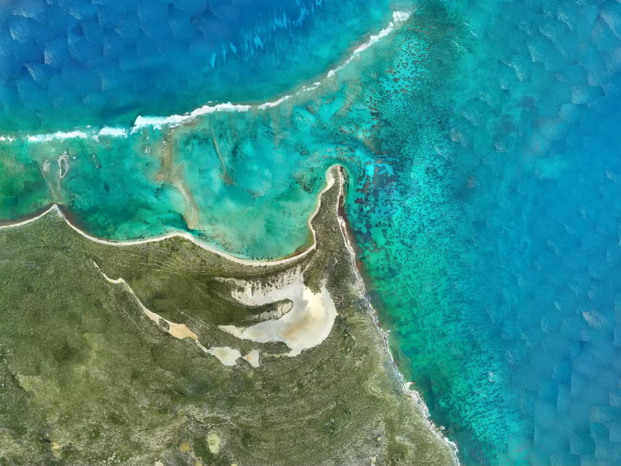 RAMMS data showing coral transition in imagery.jpg