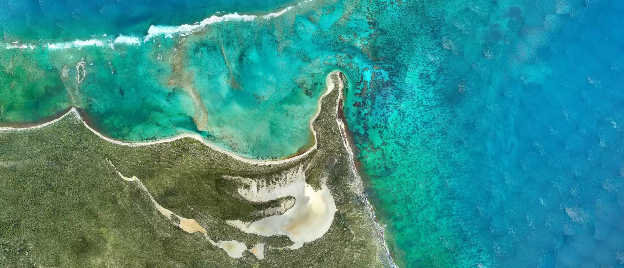 RAMMS data showing coral transition in imagery.jpg