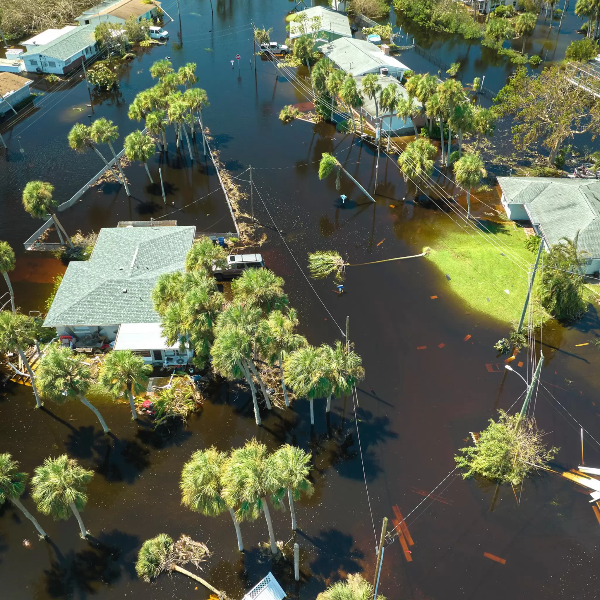 EP23_Data and insurance emergency response_AdobeStock_535612151.jpeg