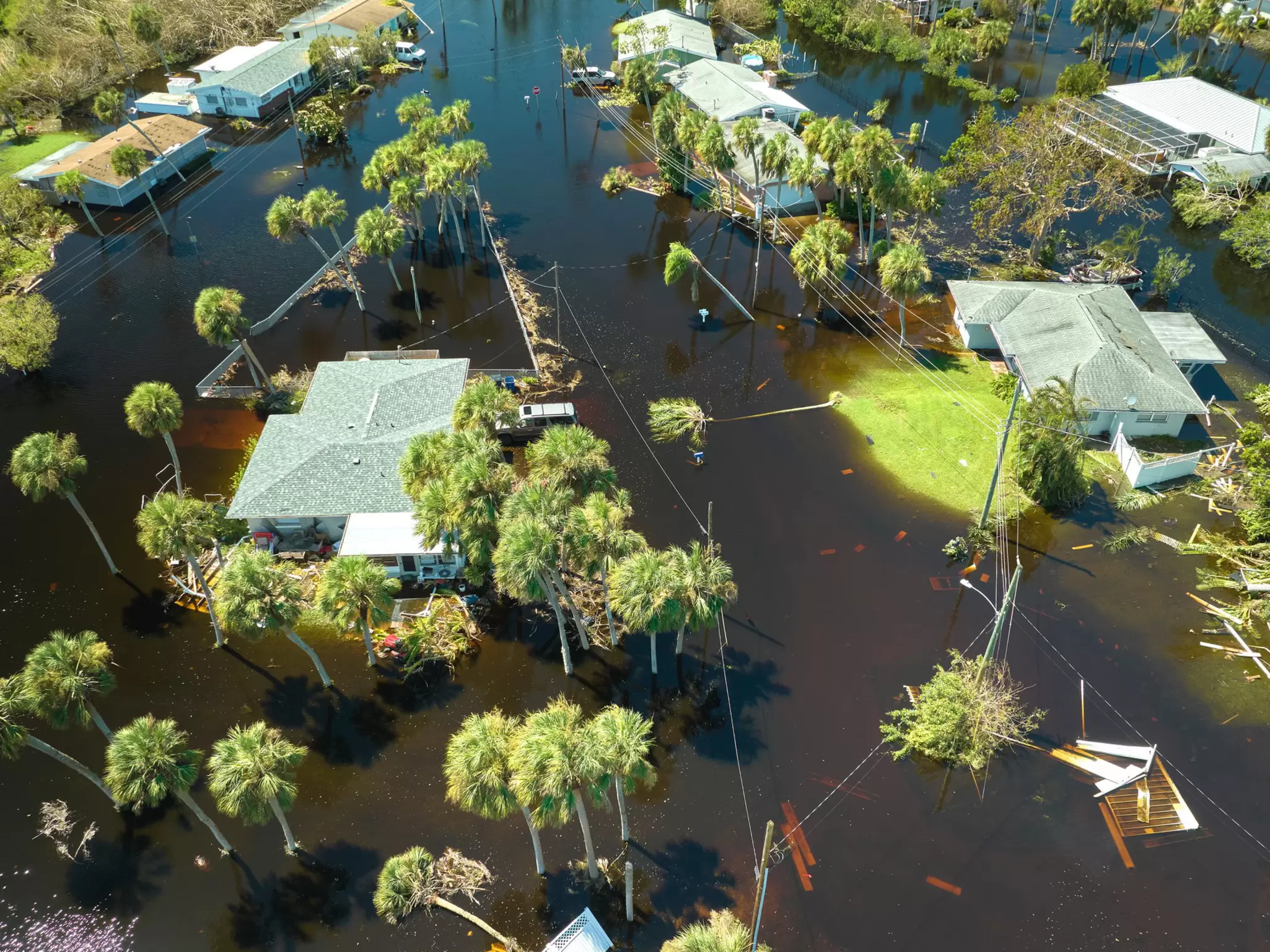 EP23_Data and insurance emergency response_AdobeStock_535612151.jpeg