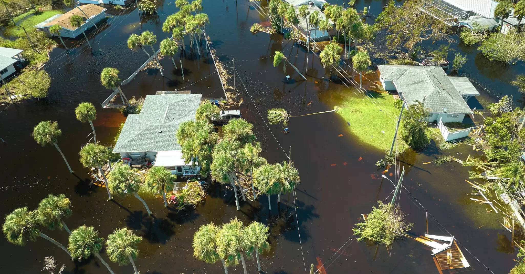 EP23_Data and insurance emergency response_AdobeStock_535612151.jpeg