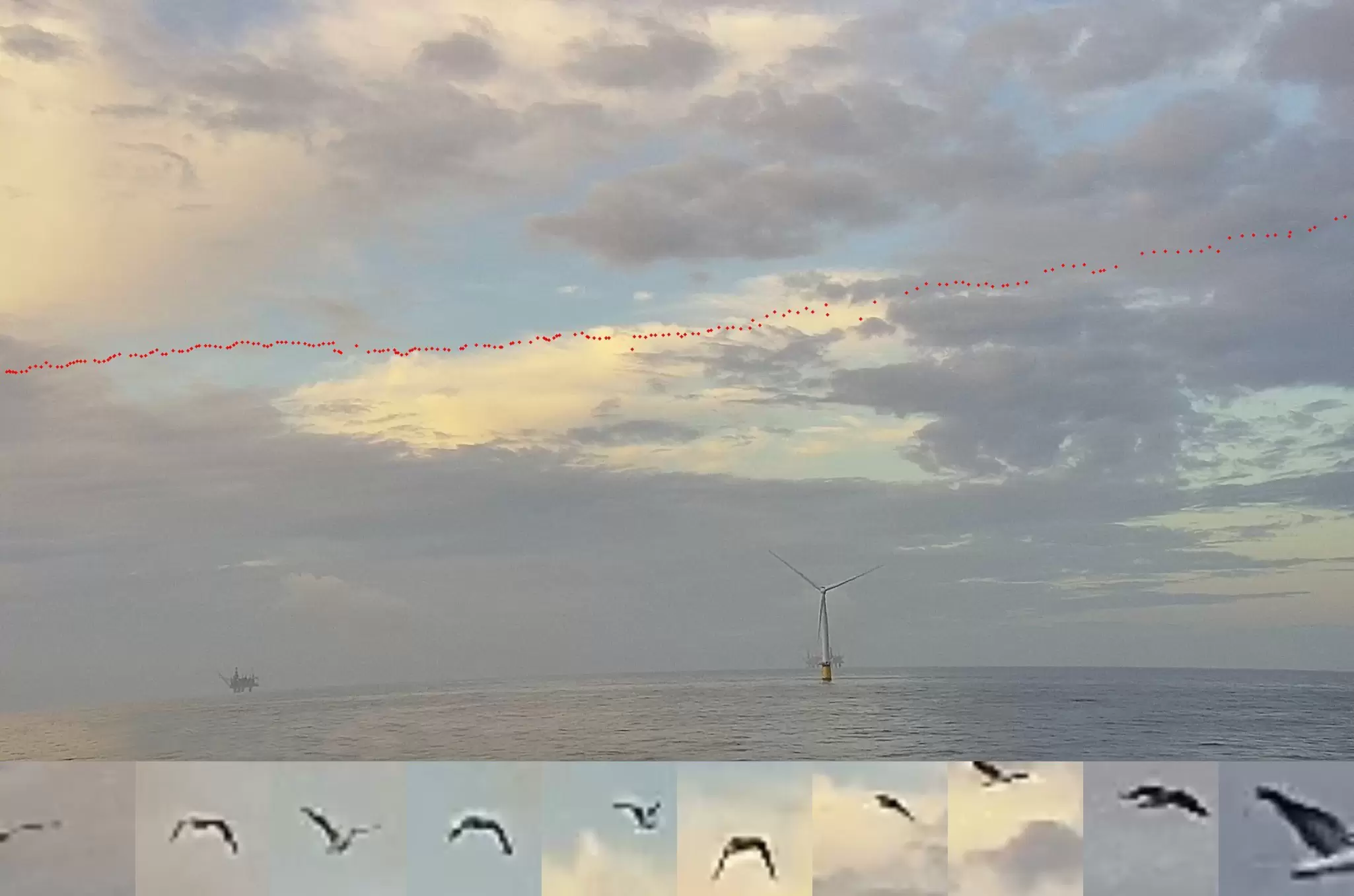 Seawatch_Spoor_News Release image_Final.jpg