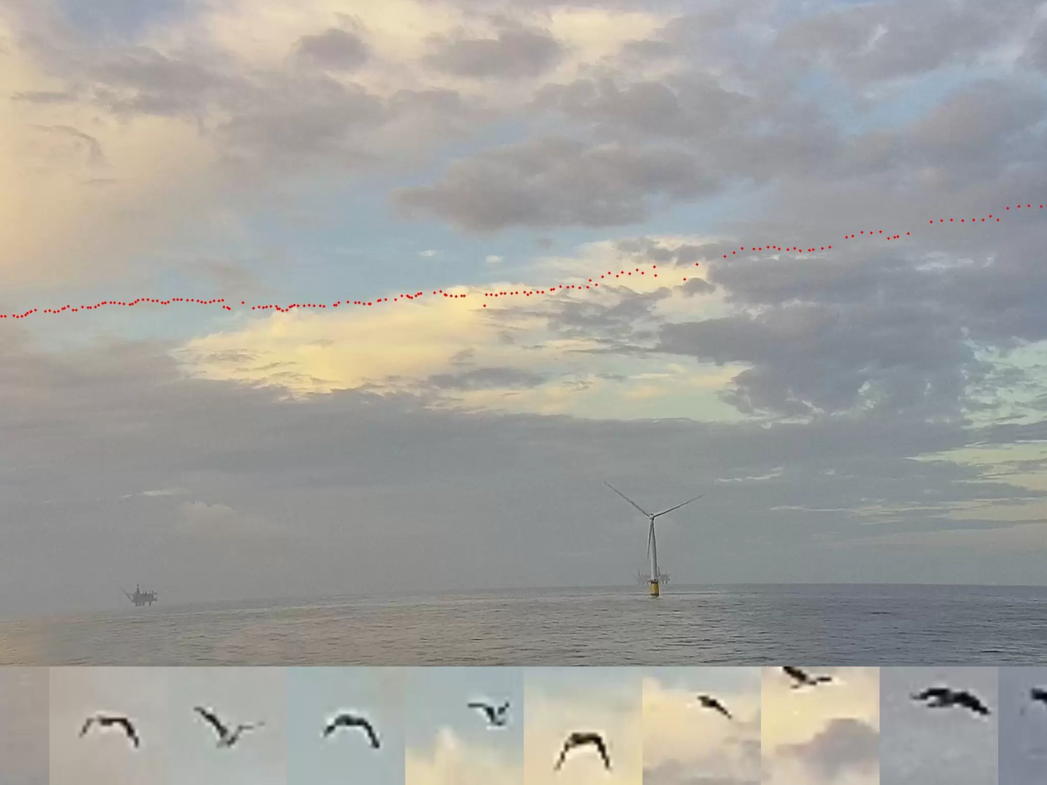 Seawatch_Spoor_News Release image_Final.jpg