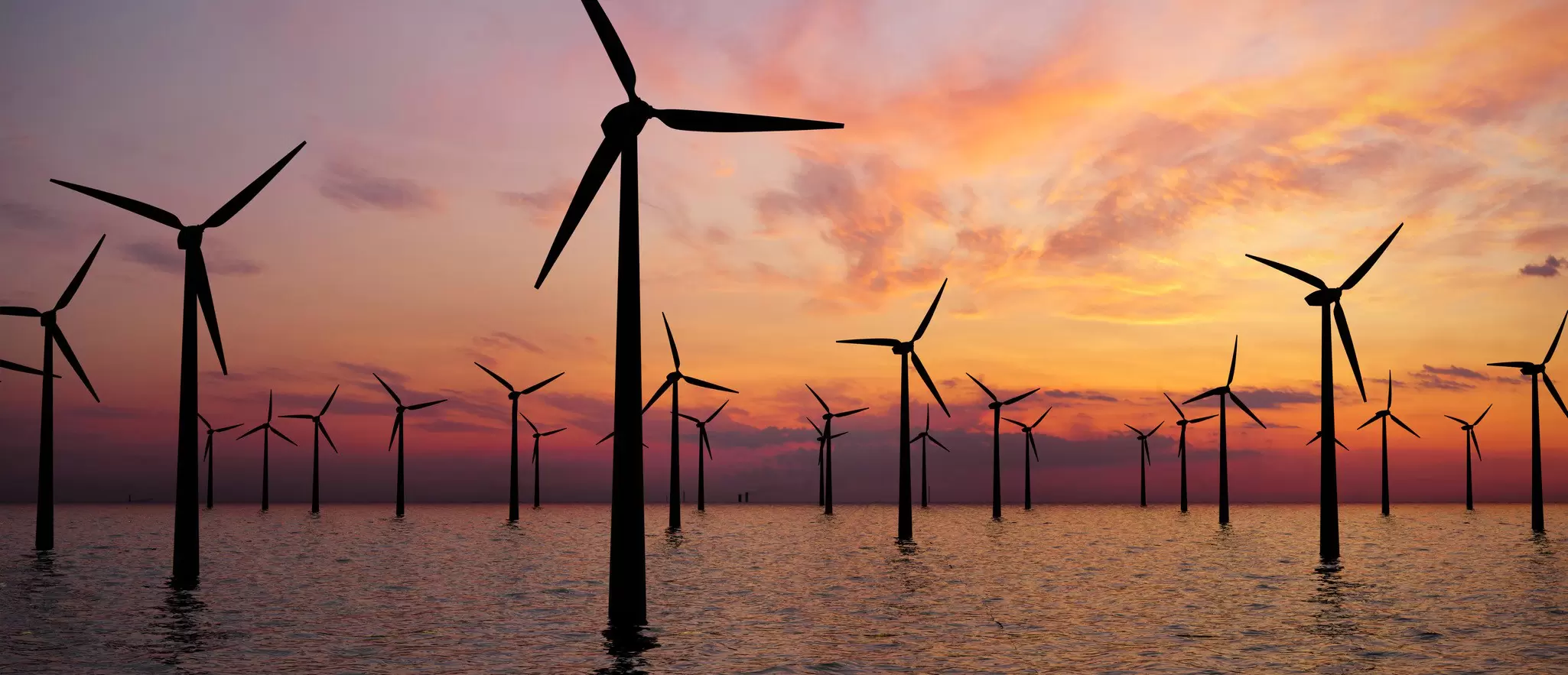 offshore-windfarm.jpg