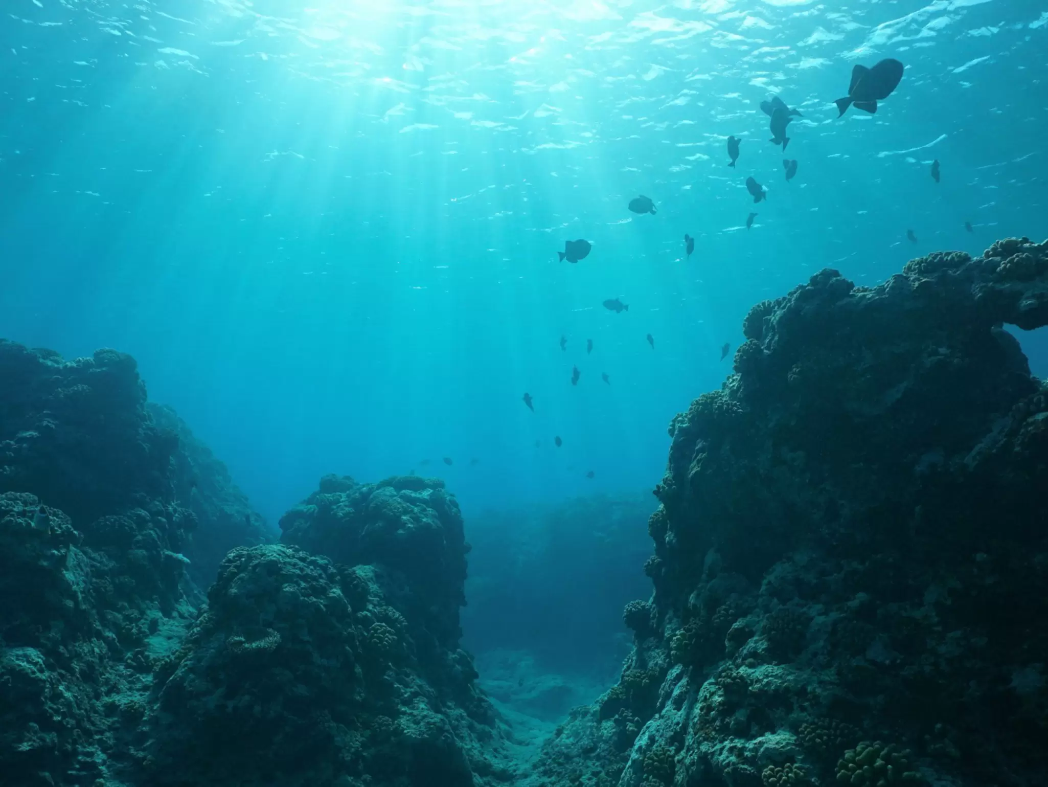 hero-image---seafloor-stock-image.jpg