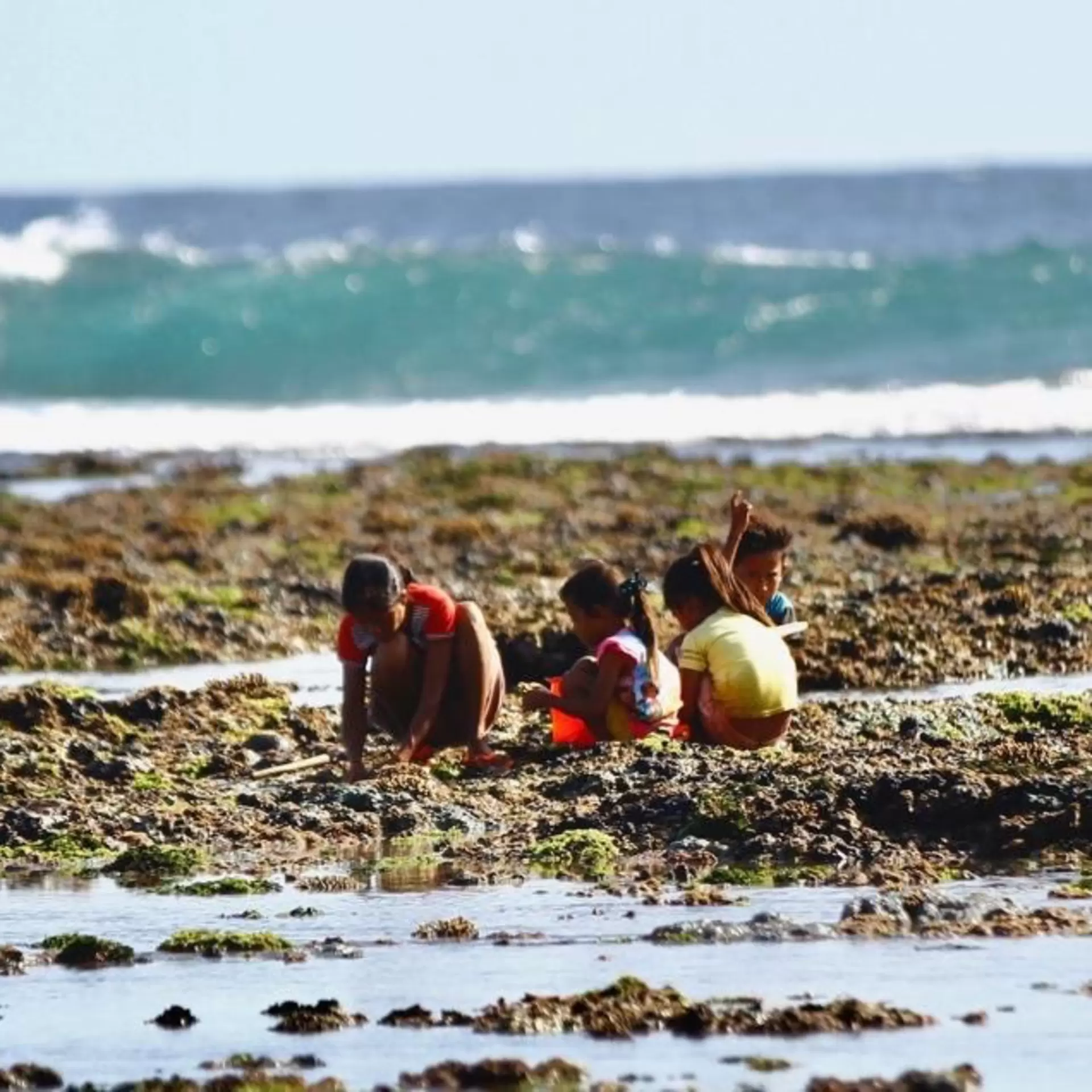 Sumba_3.JPG