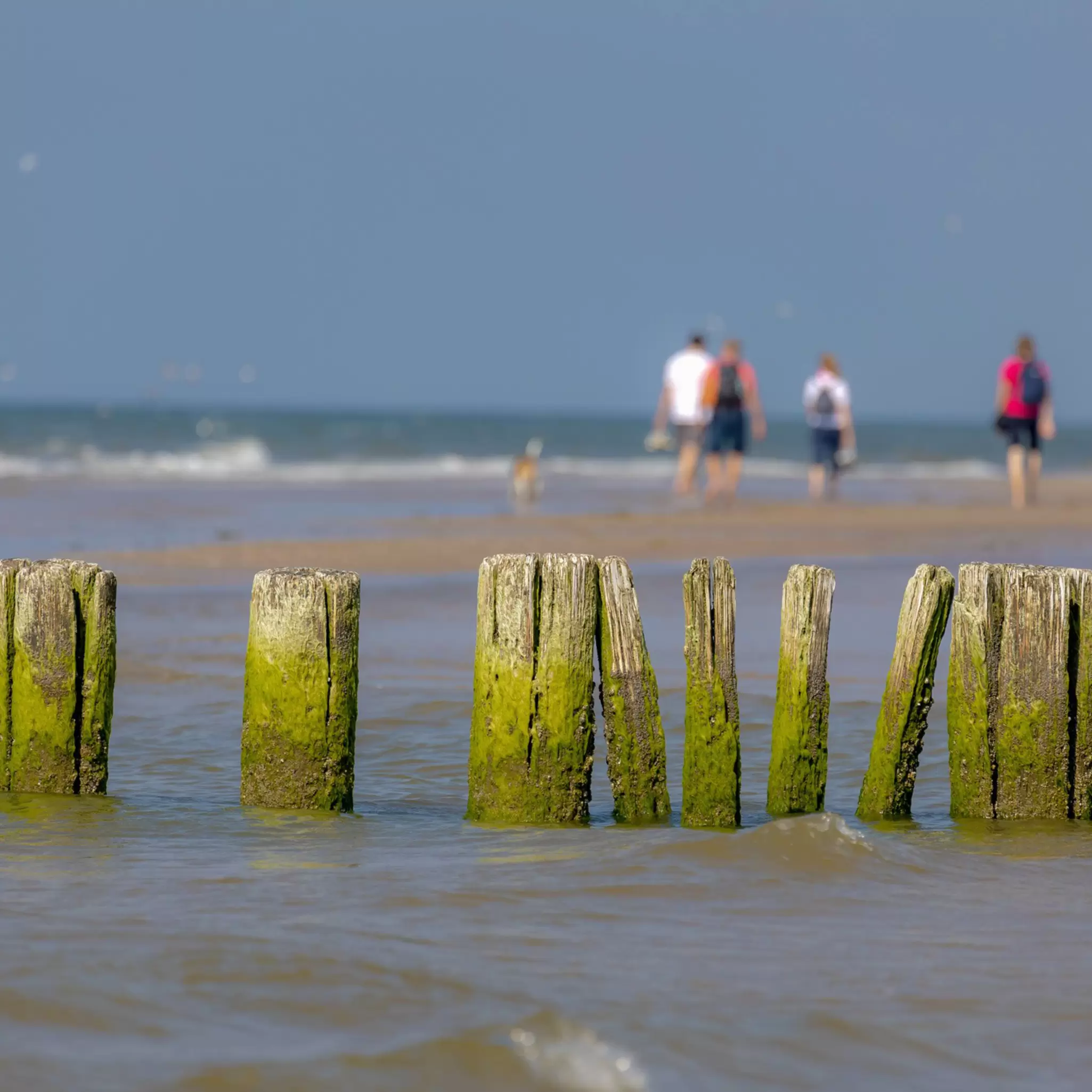 AdobeStock_531795887.jpeg