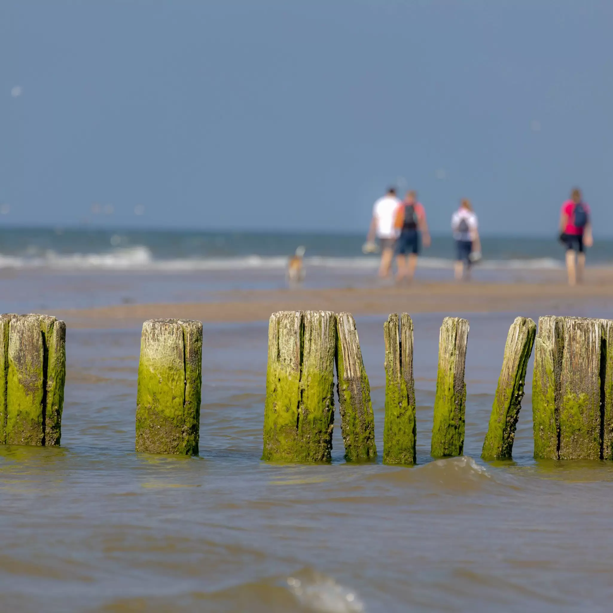AdobeStock_531795887.jpeg