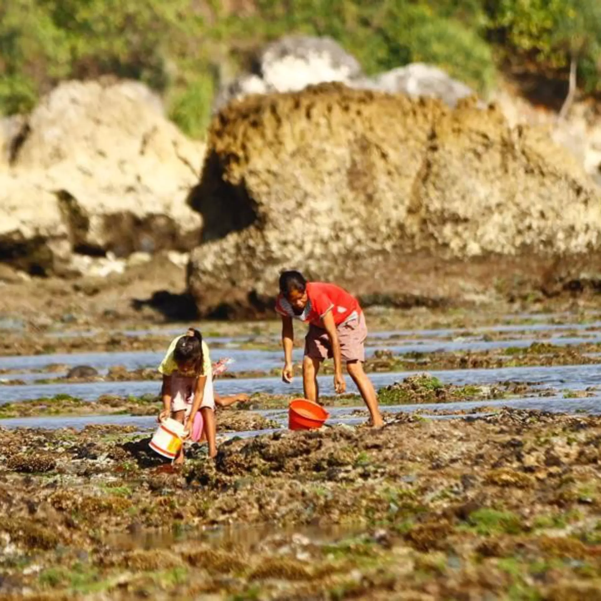 Sumba_2.JPG