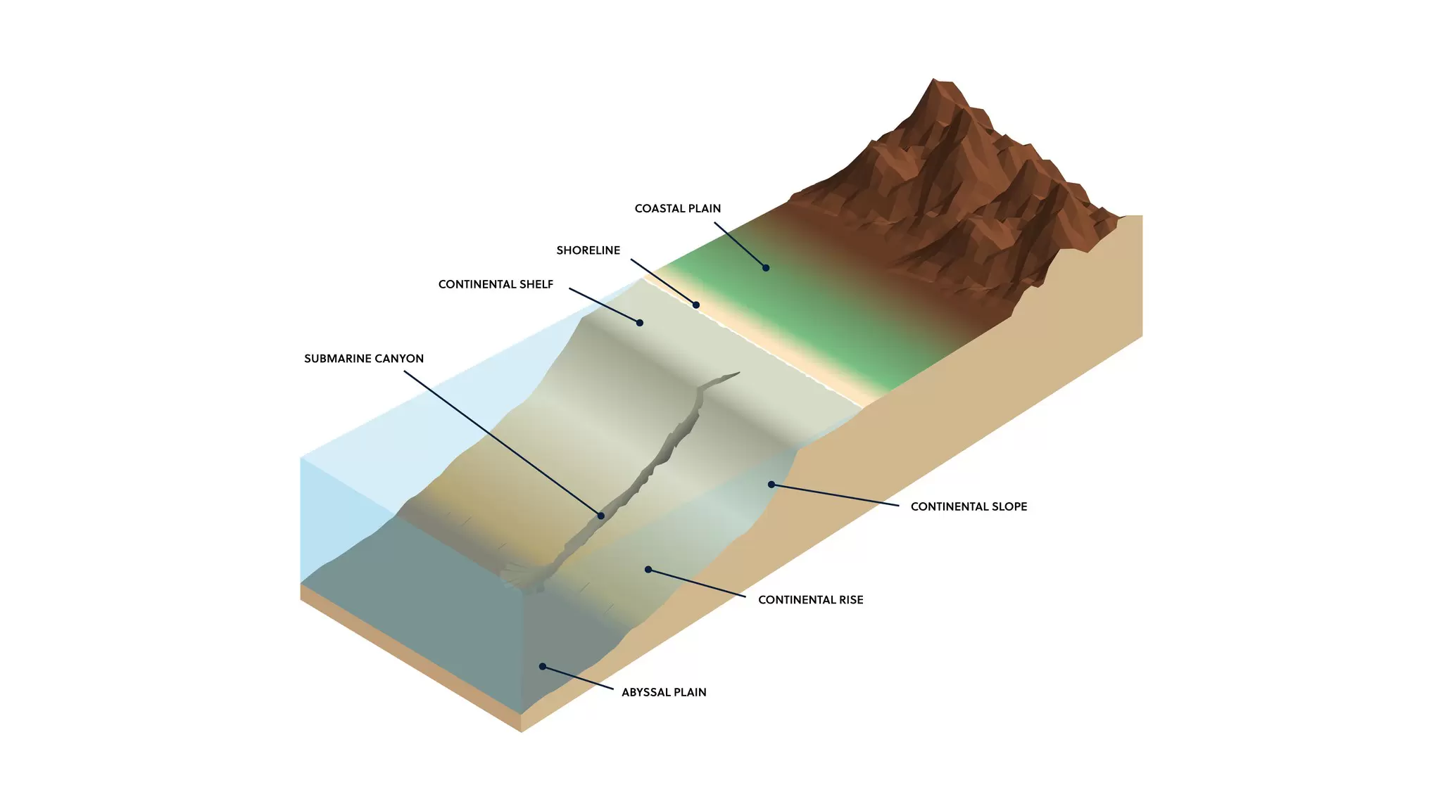 Transition zone graphic_HR No Logo.jpg