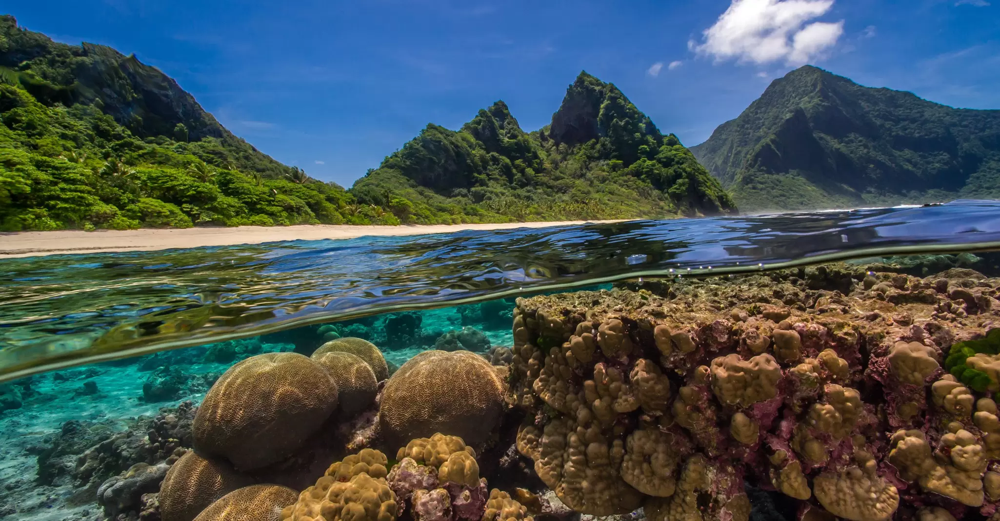PB - Sharing data to save oceans.jpg
