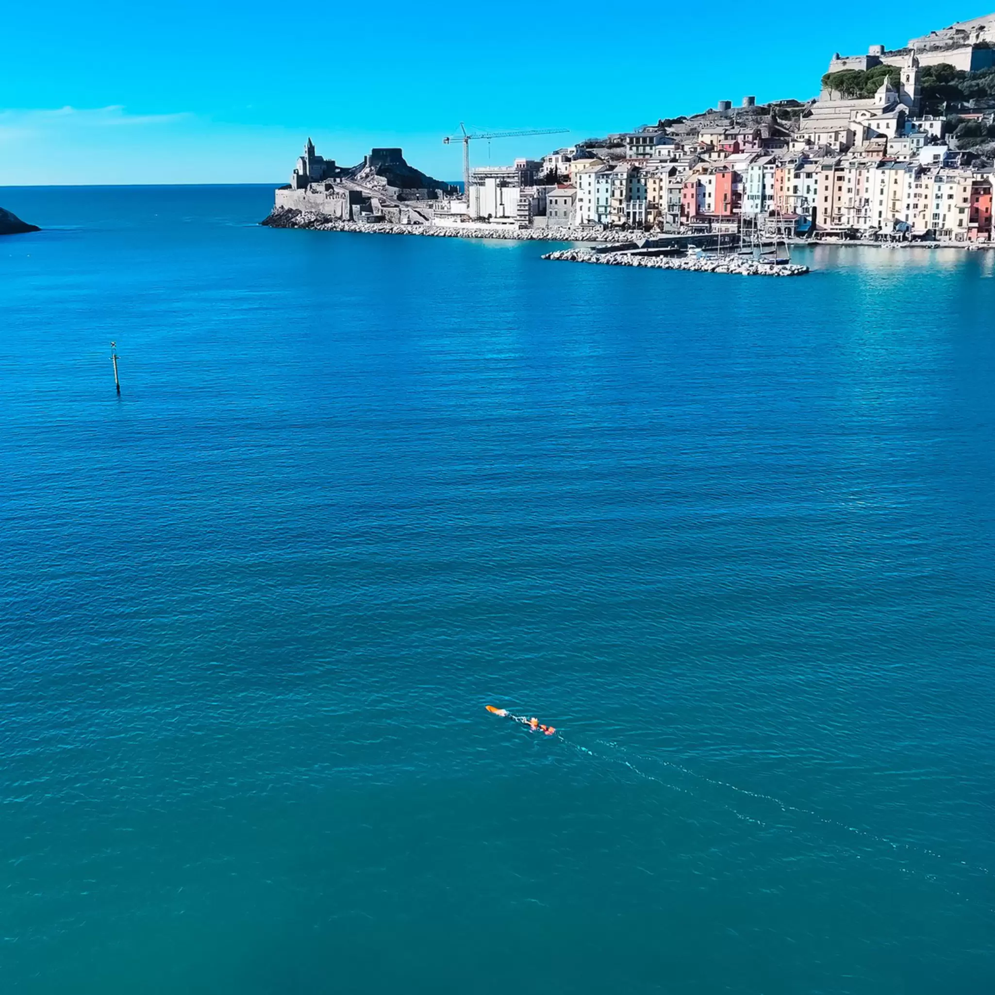Seagass mapping ISPRA Italy 16.jpg