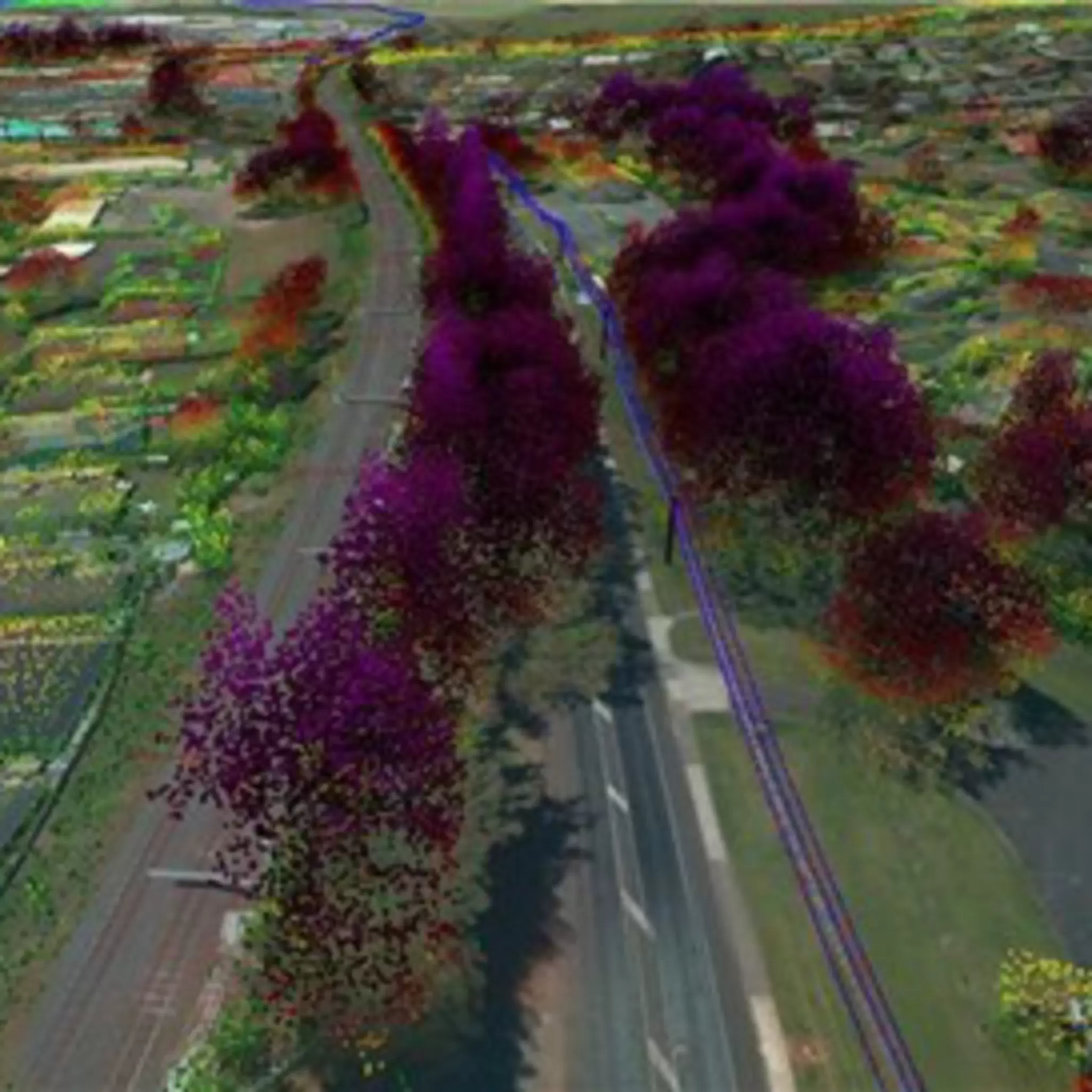 Modelled Network in ROAMES, NZ.jpg