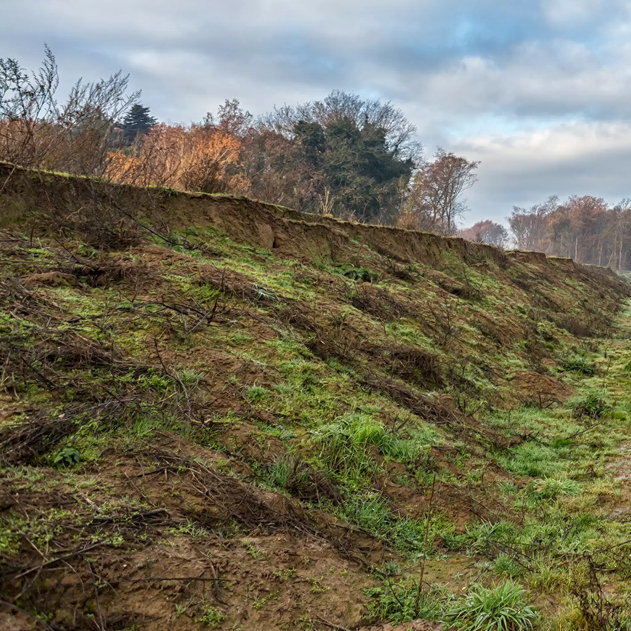 EM - sustainable dikes.jpg