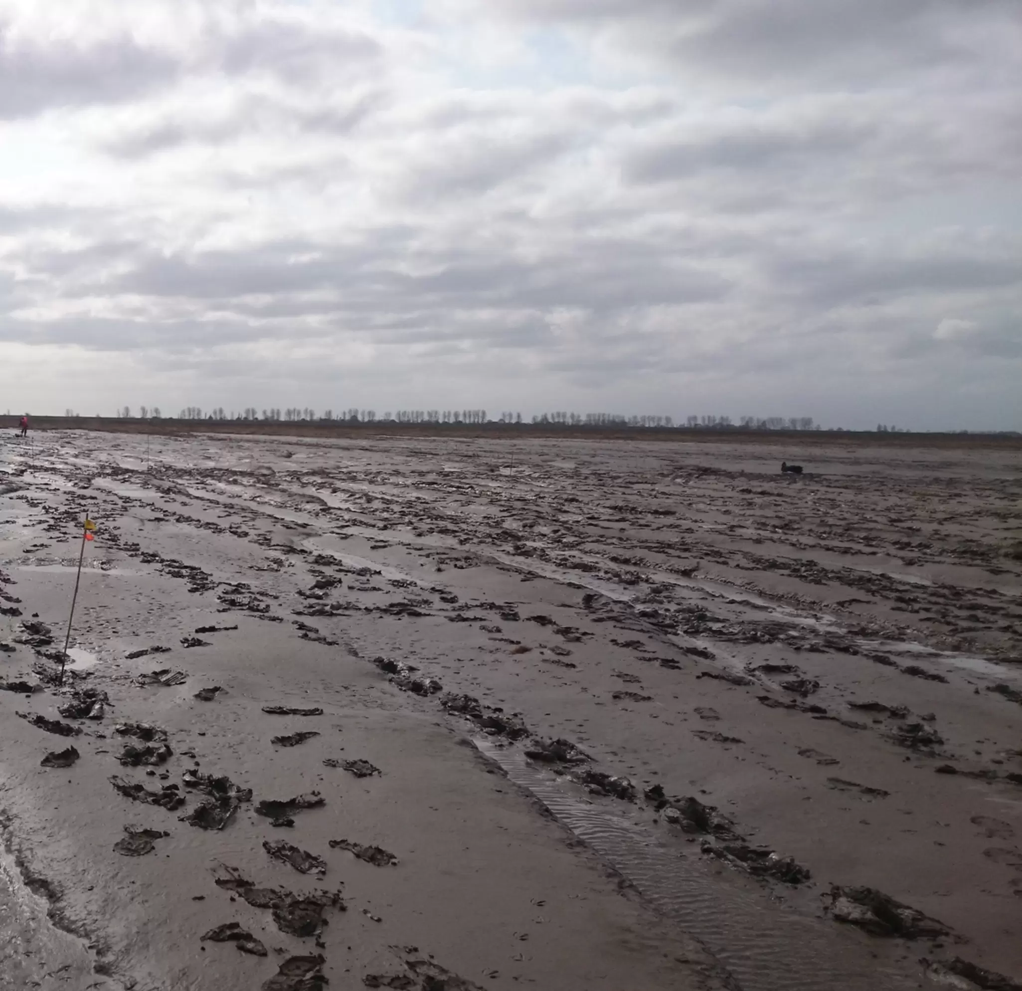 UXO survey in tidal flats.jpg